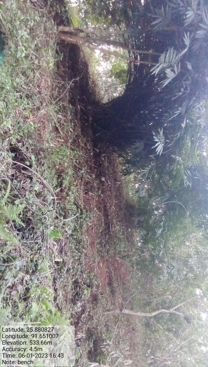I:\Medical Leave Gordon\VILLAGE REPORT PICTURES\JIRANG BLOCK\SOHKYRBAM DOMPHLANG\6. Bench Terracing 1\WhatsApp Image 2023-03-10 at 16.26.00.jpeg